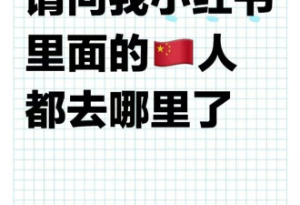 什么情况？美国网友突然“占领”小红书，主动交“猫税”、当外教