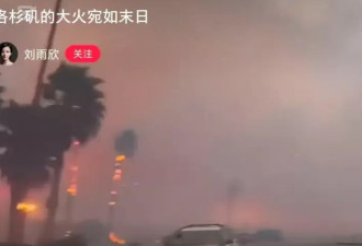 家被偷光女明星再遇劫难 华人豪宅2小时惨变废墟 一生收藏化为灰烬！