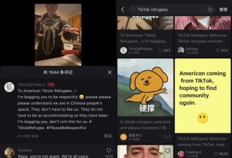 TikTok难民，涌入小红书