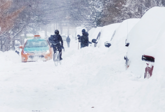 60cm雪飑狂袭! 安省连发19条"出行警报": 多伦多降温至-18℃!