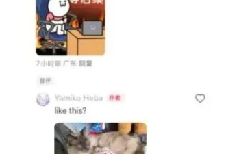 "TikTok难民"称中国网友非常热情:一天涨粉超6000