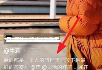 52岁牛莉离婚，与丈夫结束28年婚姻？