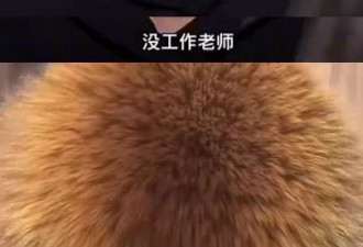 颜安：演《九重紫》被质疑“带资进组”，如今却靠抽象直播大火？