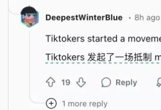 TikTok难民的小红书之旅：不会中文？也没关系