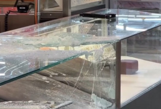 士嘉堡黄金地带珠宝店遭抢劫：劫匪持仿真枪和两把大锤