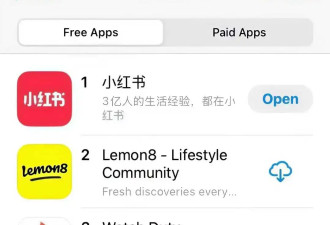 一夜之间登顶美国下载榜，小红书赢麻了