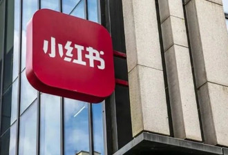 一夜之间登顶美国下载榜，小红书赢麻了