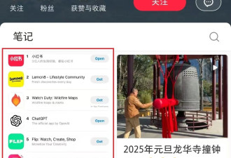 一夜之间登顶美国下载榜，小红书赢麻了