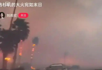 刘雨欣直击洛城大火 华人艺术家一生收藏化灰烬