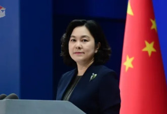 华春莹卸任中国外交部发言人