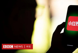 避谈政治的小红书能接住"TikTok难民"这波流量吗?