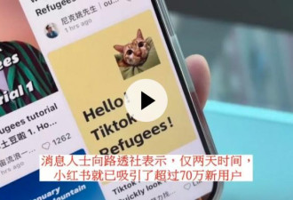“美国难民”涌入小红书 中国外交部发声