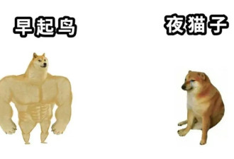 冬天赖床，我愿称之为零成本养生