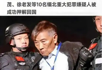 你以为遍地黄金的天堂，比缅北还可怕....