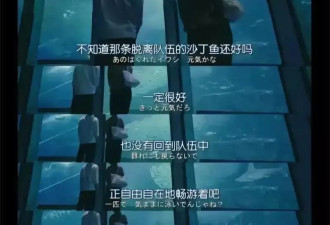 年轻人又开始谈“努力羞耻症”了，为什么