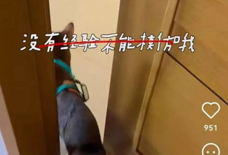 育娃神器"小天才"表，被中产家长实现了人宠共用
