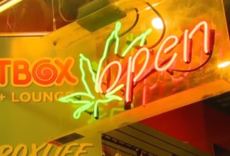 "巨大漏洞"！多伦多执法人员撒手不管：非法大麻商店没人抓了