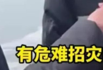 吉林“狗拉爬犁事件”越闹越大：真相永远比脸面重要