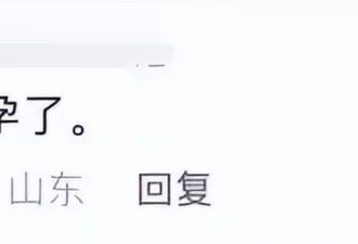 “猪鲤”要减肥！济南趵突泉设锦鲤减肥中心