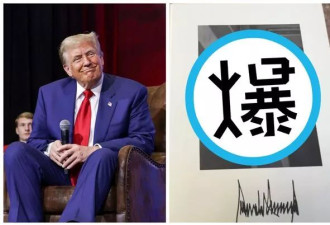 川普第二任期官方肖像曝光 网：像之前入狱照