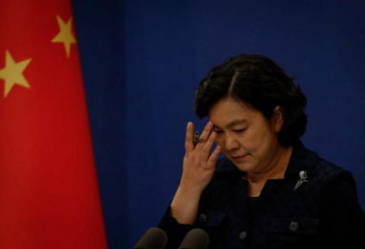 “女战狼”华春莹卸两职 前景不乐观