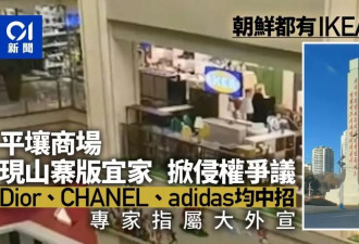 山寨版IKEA惊现朝鲜？还有迪奥、香奈尔.....
