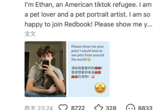 泼天流量砸向小红书，但没有然后