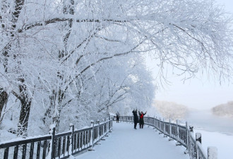 深圳男穿短袖游东北 24天未病 -30°C停留8小时