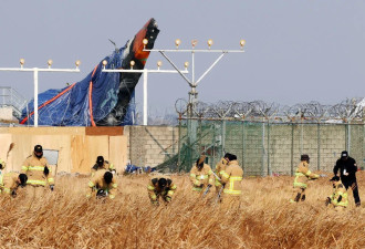 韩济州航空失事客机的两个引擎中均发现鸟类羽毛