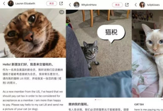 美国人涌入小红书，他们的真实想法是什么