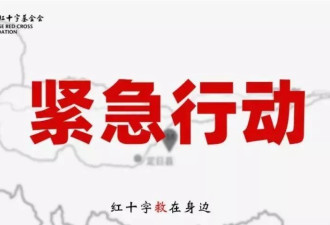 中国红十字会发文：致谢刘亦菲