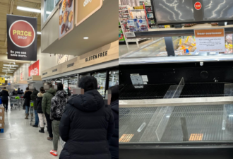 疯狂!多伦多华人排长队抢购!涌入超市苦等1小时:"刚上架就秒空"!