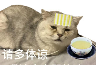 甲流大范围暴发！收下这份家庭防治攻略