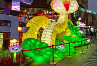 昆明“鬼迷日眼”蛇宝宝花灯丑出圈，网友：菌子吃多了？