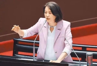蓝白联手删939亿新台币，王鸿薇揭绿营侧翼....
