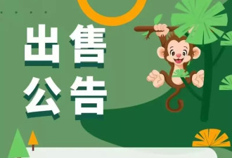 园欲出售20只猕猴，园方:须有资质，个人不能购买
