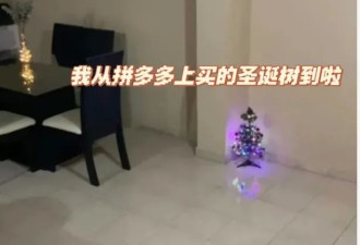 笑抽了!美版拼多多成了气笑老外的“抽象盲盒”
