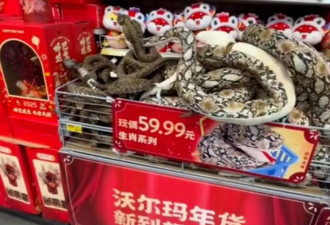 最近，满大街的丑蛇装饰让怕蛇人默默碎了