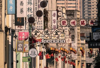 全程516公里，广西有条“世界最美高速”