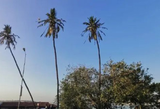 我在东非最大的城市：这里比印度还印度