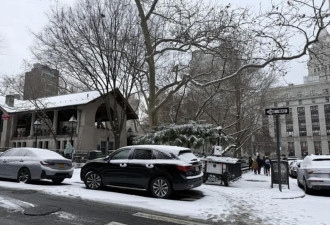 纽约市发警报：明天中午开始下雪 恐达5寸