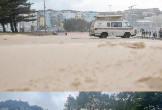 悉尼遭遇恐怖一天！狂风暴雨不断，大树被连根拔起