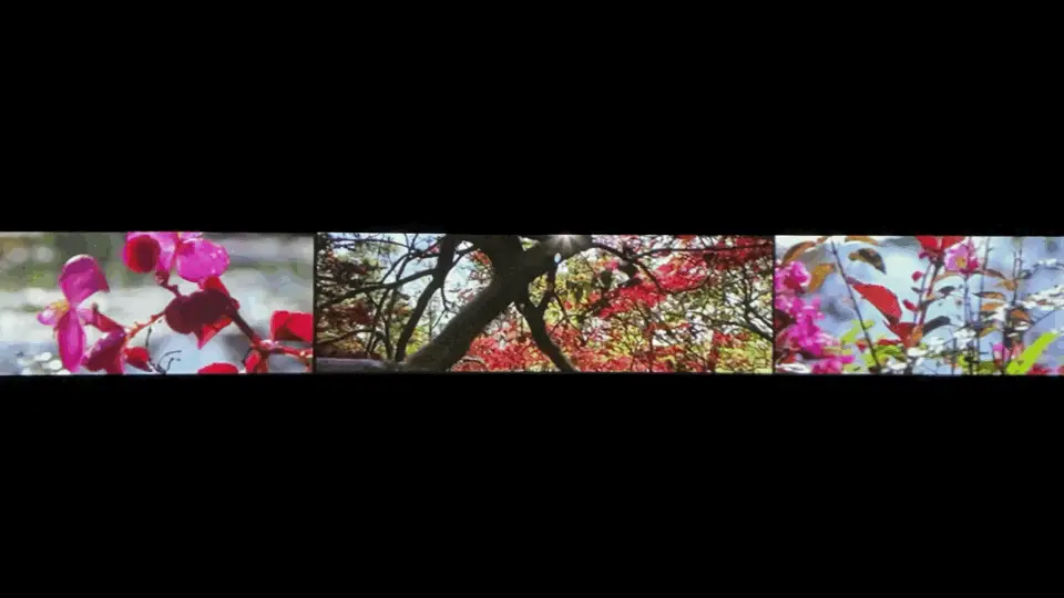 回顾：曝王珂再次投资失败！整整亏损12亿？刘涛凌晨发文让人心疼