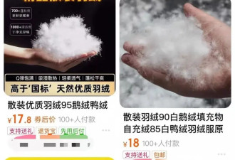假冒羽绒服太多，年轻人开始买散装鸭绒自制“加拿大鹅”