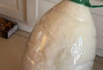 假冒羽绒服太多，年轻人开始买散装鸭绒自制“加拿大鹅”