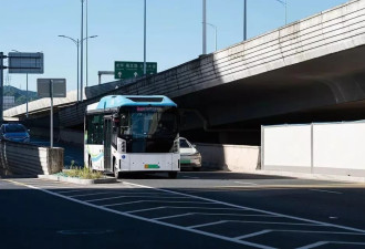 中国公交车 越变越“小”