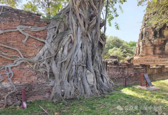 泰国大城：走进玛哈泰寺（Wat Maha That）