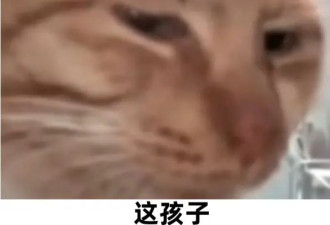 用唾液进行基因检测、预测孩子天赋…真有用....