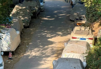 深圳“僵尸车”大军：闲置尘封整年 竟为过年的面子？
