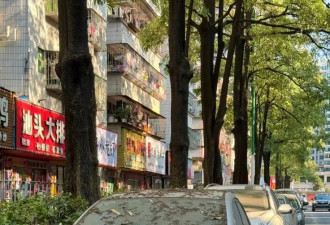 深圳“僵尸车”大军：闲置尘封整年 竟为过年的面子？